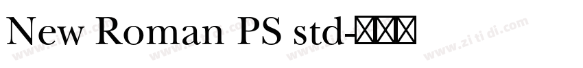 New Roman PS std字体转换
